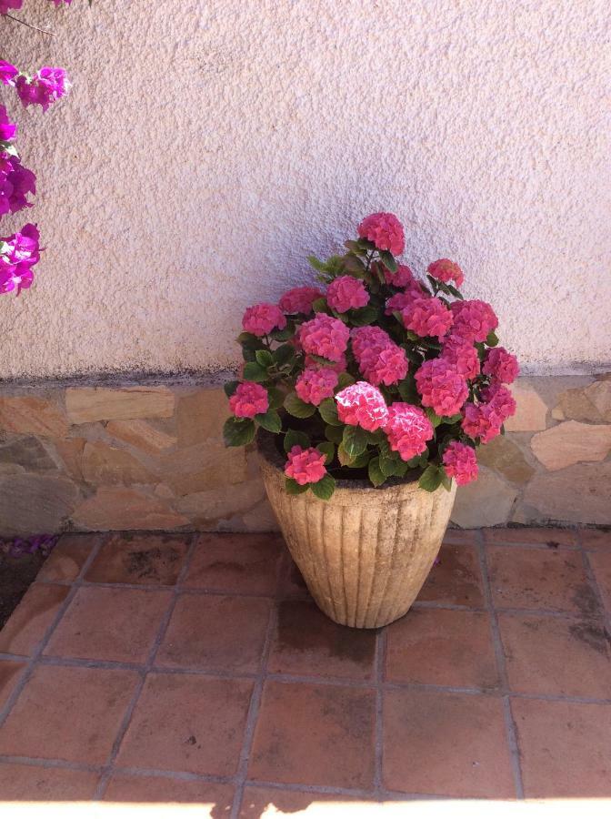 Apartamentos Y Habitaciones Kai Marbella (Adults Only) Экстерьер фото